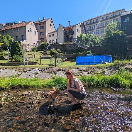 ゼーブニッツUrlaubstraum Mit Pool, Terrasse & Fluss Im Garten - Utアパートメント エクステリア 写真