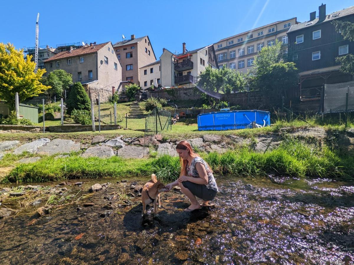 ゼーブニッツUrlaubstraum Mit Pool, Terrasse & Fluss Im Garten - Utアパートメント エクステリア 写真