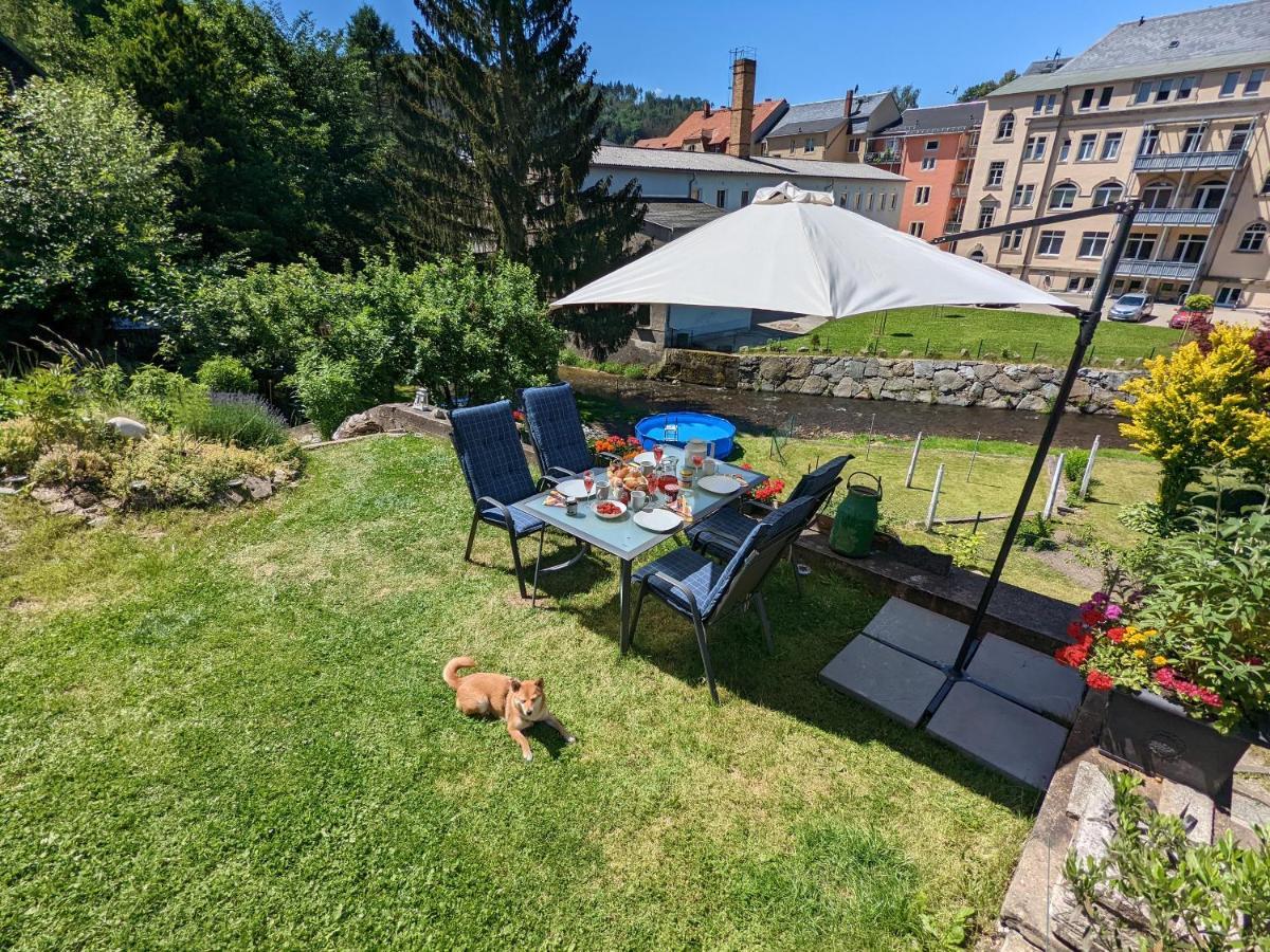 ゼーブニッツUrlaubstraum Mit Pool, Terrasse & Fluss Im Garten - Utアパートメント エクステリア 写真
