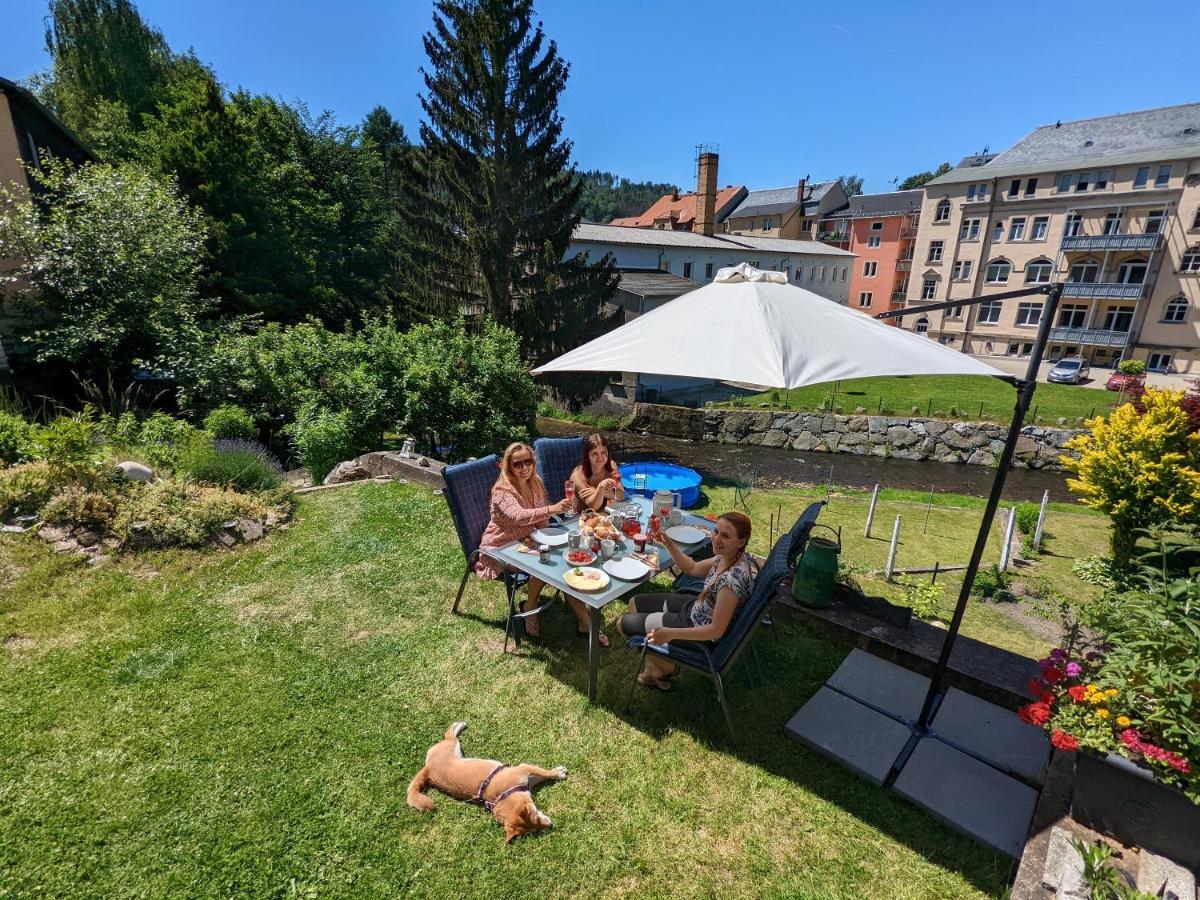 ゼーブニッツUrlaubstraum Mit Pool, Terrasse & Fluss Im Garten - Utアパートメント エクステリア 写真