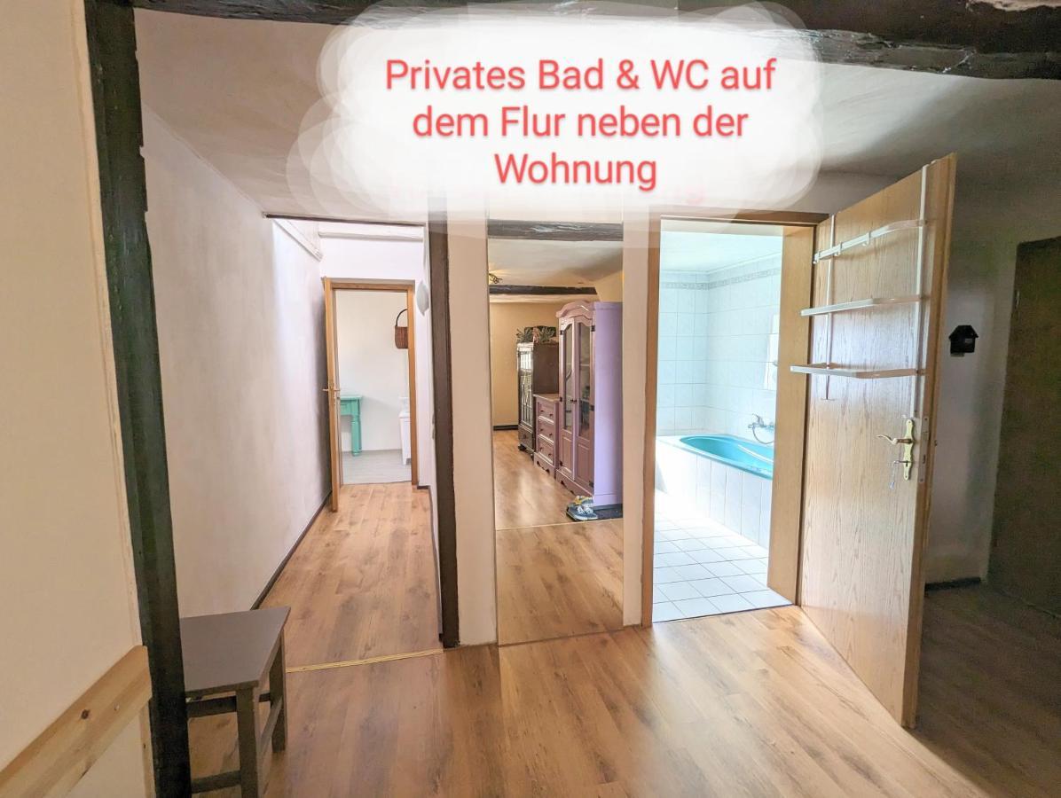 ゼーブニッツUrlaubstraum Mit Pool, Terrasse & Fluss Im Garten - Utアパートメント エクステリア 写真